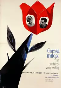Plakat filmu Gorsza miłość