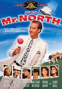 Plakat filmu Pan North