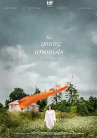 Plakat filmu The Young Arsonists