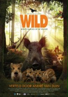 plakat filmu Wild