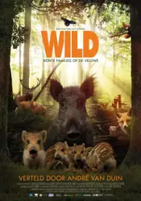 Plakat filmu Wild