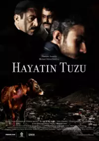 Plakat filmu Sól życia