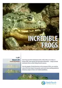 Plakat filmu Niesamowite żaby