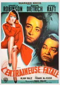 Plakat filmu Wysokie napięcie