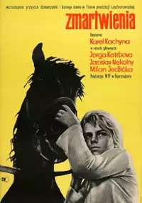 Plakat filmu Zmartwienia