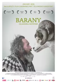 Plakat filmu Barany. Islandzka opowieść