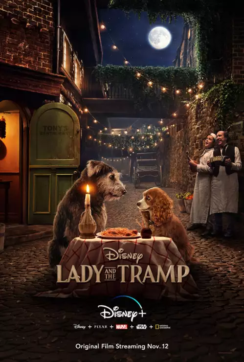 plakat filmu Zakochany kundel