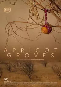 Plakat filmu Apricot Groves