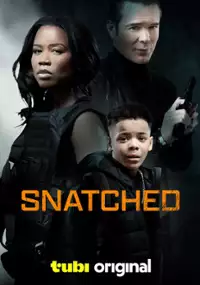 Plakat filmu Snatched