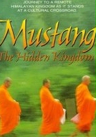 plakat filmu Mustang: Ukryte królestwo
