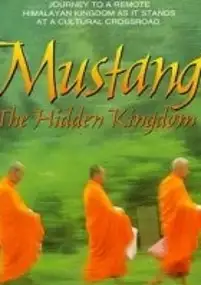 Plakat filmu Mustang: Ukryte królestwo