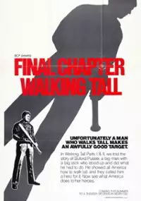 Plakat filmu Final Chapter: Walking Tall
