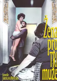 Plakat filmu Žena pro tři muže