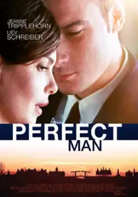 Plakat filmu Idealny człowiek