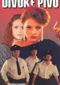 Plakat filmu Divoké pivo