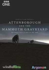 Plakat filmu David Attenborough i cmentarzysko mamutów
