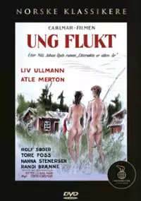 Plakat filmu Krnąbrne dziewczę