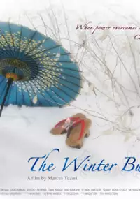 Plakat filmu The Winter Butterfly