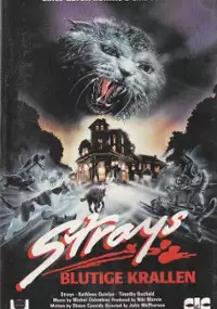 Plakat filmu Dzikie koty