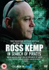 Plakat serialu Na tropie piratów