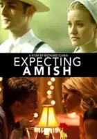 plakat filmu Expecting Amish