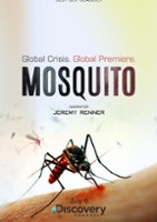 plakat filmu Mosquito