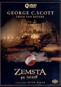 Plakat filmu Zemsta po latach