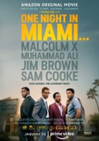 plakat filmu Pewnej nocy w Miami...