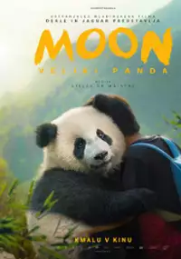 Plakat filmu Moon le panda