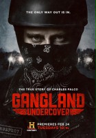plakat filmu Gangland - podwójna gra
