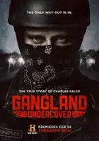 plakat serialu Gangland - podwójna gra