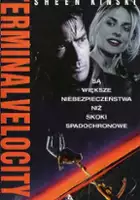 plakat filmu Na granicy ryzyka