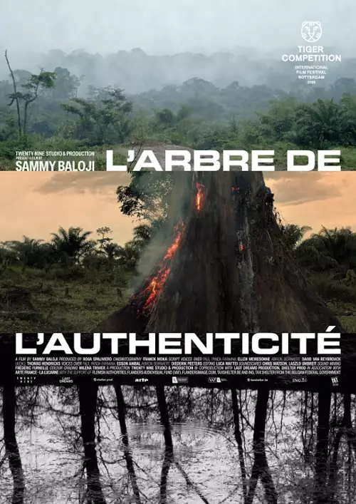plakat filmu Drzewo autentyczności