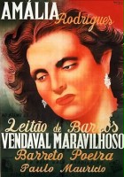 plakat filmu Vendaval Maravilhoso