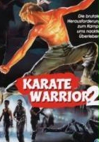 plakat filmu Wojownik karate 2