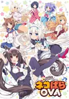 plakat filmu Nekopara