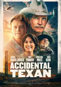 Plakat filmu Accidental Texan