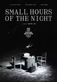 Plakat filmu Small Hours of the Night