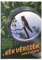 plakat filmu Kék vércsék erdejében