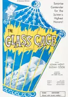 Antonio Santean / The Glass Cage