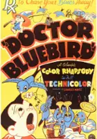 plakat filmu Doctor Bluebird