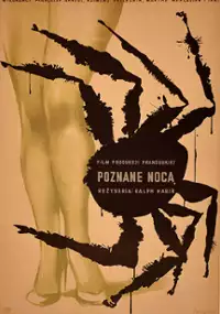 Plakat filmu Poznane nocą
