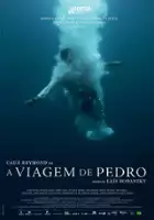 plakat filmu A Viagem de Pedro