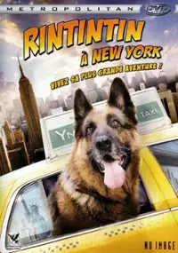 Plakat filmu Rainy - superpies
