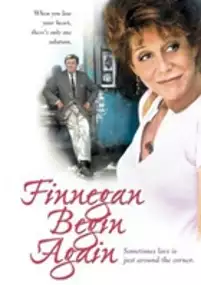 Plakat filmu Finnegan Begin Again