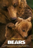 plakat filmu Niedźwiedzie
