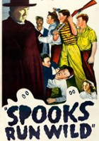 plakat filmu Spooks Run Wild