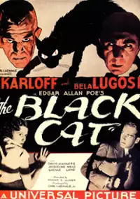 Plakat filmu Czarny kot