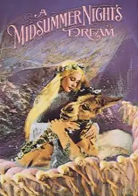 Plakat filmu Sen nocy letniej