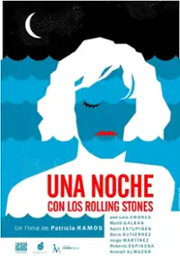 Plakat filmu Jedna noc z The Rolling Stones